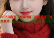 Bilibili麻豆：弹幕社区，视频分享，社交互动