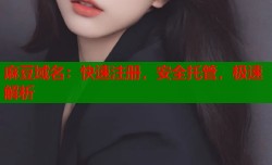 麻豆域名：快速注册，安全托管，极速解析