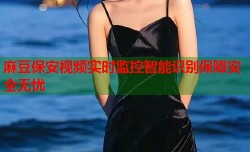 麻豆保安视频实时监控智能识别保障安全无忧