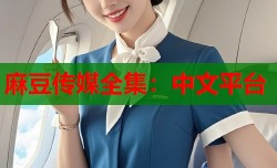 麻豆传媒全集：中文平台