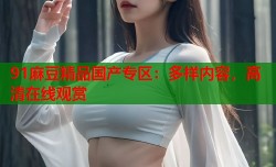91麻豆精品国产专区：多样内容，高清在线观赏