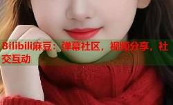 Bilibili麻豆：弹幕社区，视频分享，社交互动