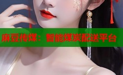 麻豆传煤：智能煤炭配送平台