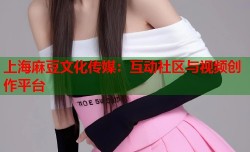 上海麻豆文化传媒：互动社区与视频创作平台