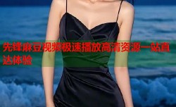 先锋麻豆视频极速播放高清资源一站直达体验