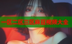 一区二区三区麻豆视频大全