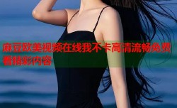 麻豆欧美视频在线我不卡高清流畅免费看精彩内容