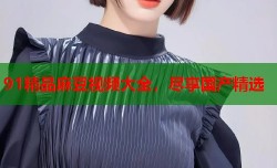 91精品麻豆视频大全，尽享国产精选