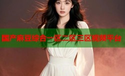 国产麻豆综合一区二区三区视频平台