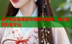 国产麻豆剧果冻传媒星空视频：高清免费影视平台