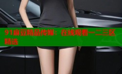 91麻豆精品传媒：在线观看一二三区精选