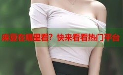 麻豆在哪里看？快来看看热门平台