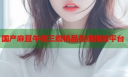 国产麻豆午夜三级精品在线播放平台