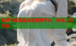 亚洲午夜精品麻豆视频平台，精选二区内容