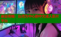 麻豆传媒：台湾为中心的中文成人影片平台