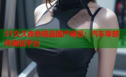 51久久夜色精品国产麻豆：汽车零部件测试平台