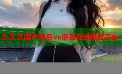 久久久国产精品va麻豆在线播放平台