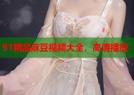 91精品麻豆视频大全，高清播放