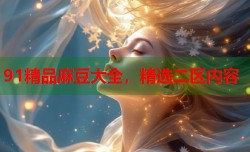 91精品麻豆大全，精选二区内容