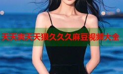 天天爽天天狠久久久麻豆视频大全
