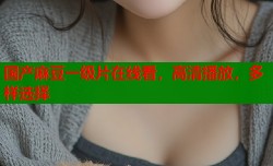 国产麻豆一级片在线看，高清播放，多样选择