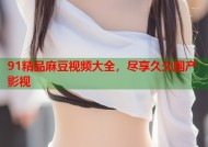 91精品麻豆视频大全，尽享久久国产影视