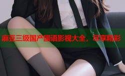 麻豆三级国产国语影视大全，尽享精彩