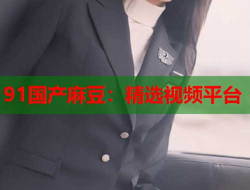91国产麻豆：精选视频平台  第1张