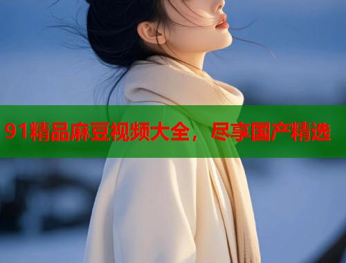 91精品麻豆视频大全，尽享国产精选  第2张