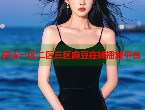 高清一区二区三区麻豆在线播放平台  第1张