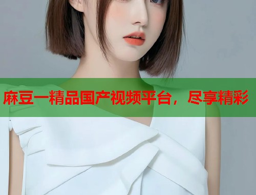 麻豆一精品国产视频平台，尽享精彩  第1张