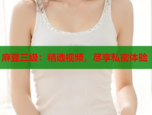 麻豆三级：精选视频，尽享私密体验  第1张