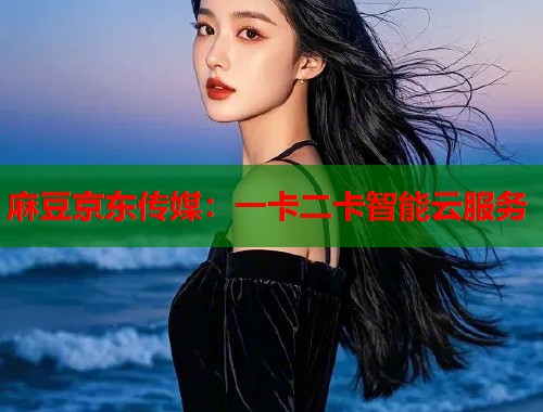 麻豆京东传媒：一卡二卡智能云服务  第2张