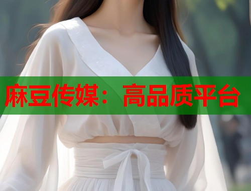 麻豆传媒：高品质平台  第2张