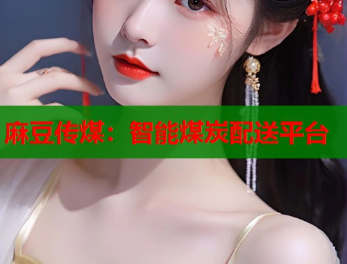 麻豆传煤：智能煤炭配送平台  第1张