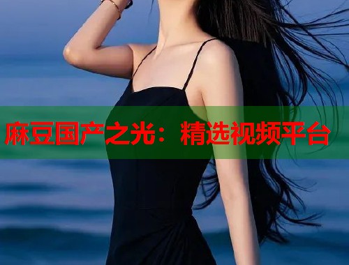 麻豆国产之光：精选视频平台  第1张