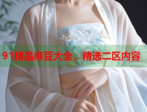 91精品麻豆大全，精选二区内容  第2张