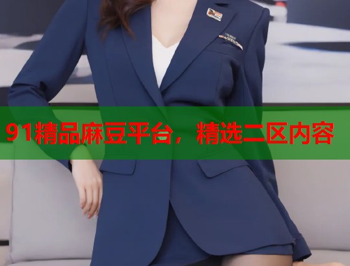 91精品麻豆平台，精选二区内容  第2张