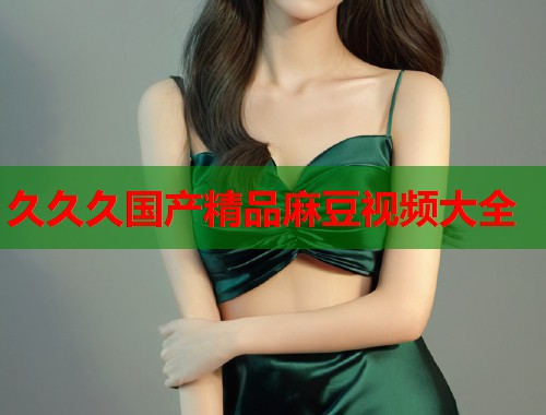 久久久国产精品麻豆视频大全  第2张