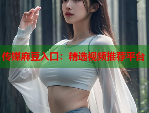 传媒麻豆入口：精选视频推荐平台  第1张
