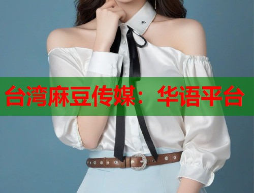 台湾麻豆传媒：华语平台  第1张