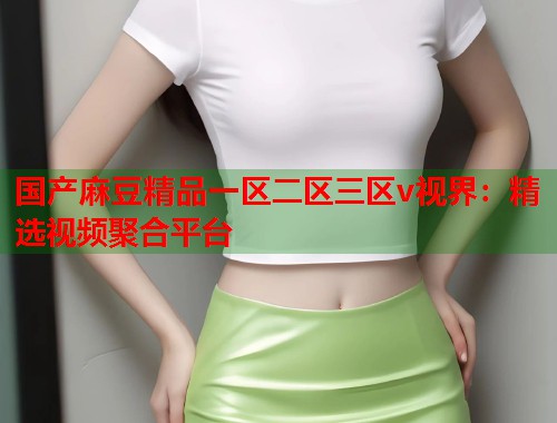 国产麻豆精品一区二区三区v视界：精选视频聚合平台  第1张