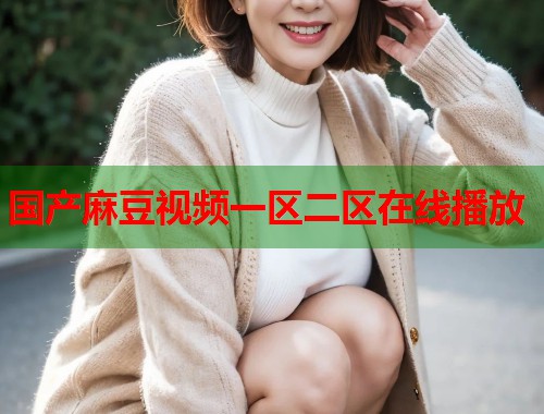 国产麻豆视频一区二区在线播放  第1张