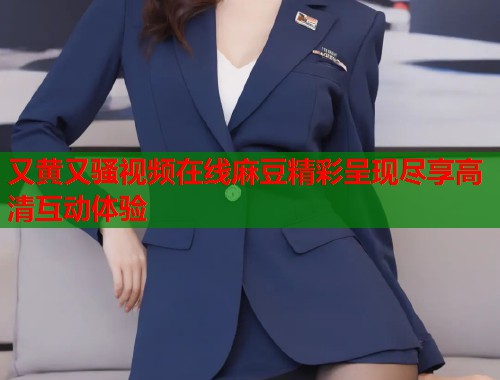 又黄又骚视频在线麻豆精彩呈现尽享高清互动体验  第1张